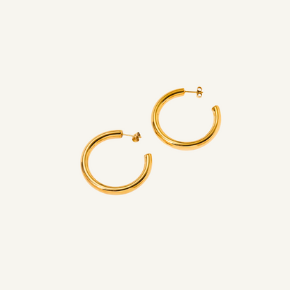 Gold Hoop Stud Earrings