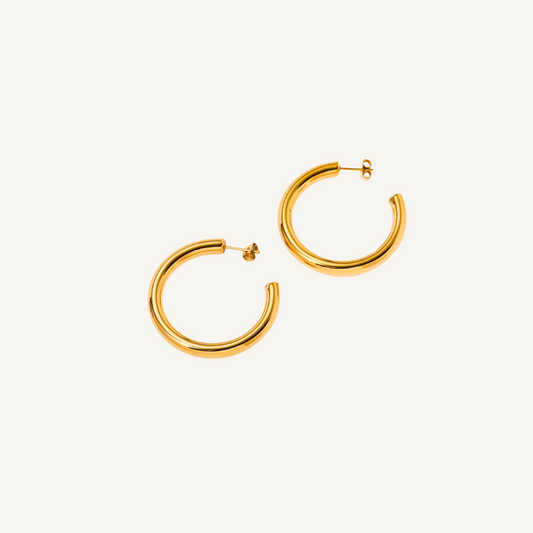 Gold Hoop Stud Earrings